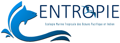 UMR ENTROPIE